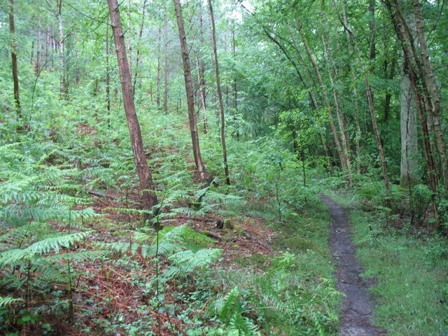 2007 05 Myco porte Baudet 05